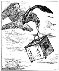  An Eagle snatches the travelling box