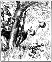The Brobdingnagian dwarf drops apples on Gulliver